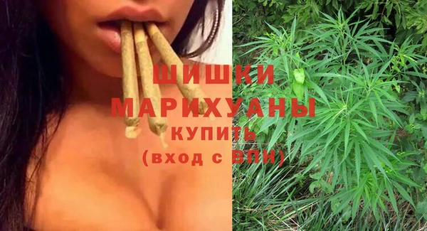 Альфа ПВП Горнозаводск