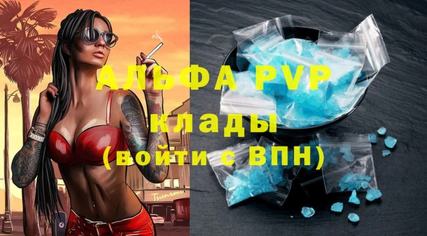 стаф Горняк
