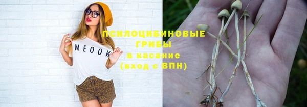 прущая мука Горно-Алтайск