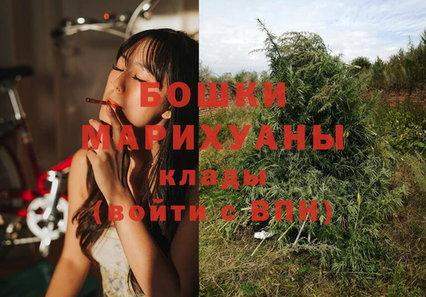 стаф Горняк