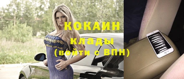стаф Горняк
