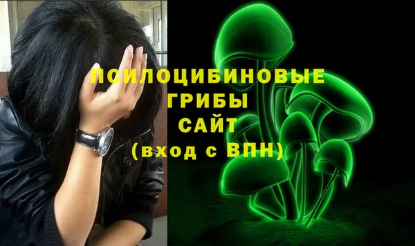 Альфа ПВП Горнозаводск
