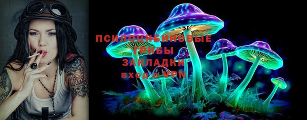 Альфа ПВП Горнозаводск