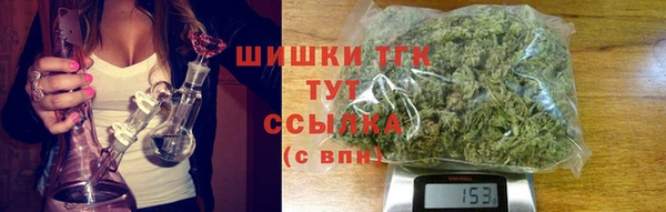 стаф Горняк
