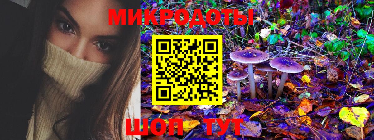Галлюциногенные грибы мухоморы Новочебоксарск