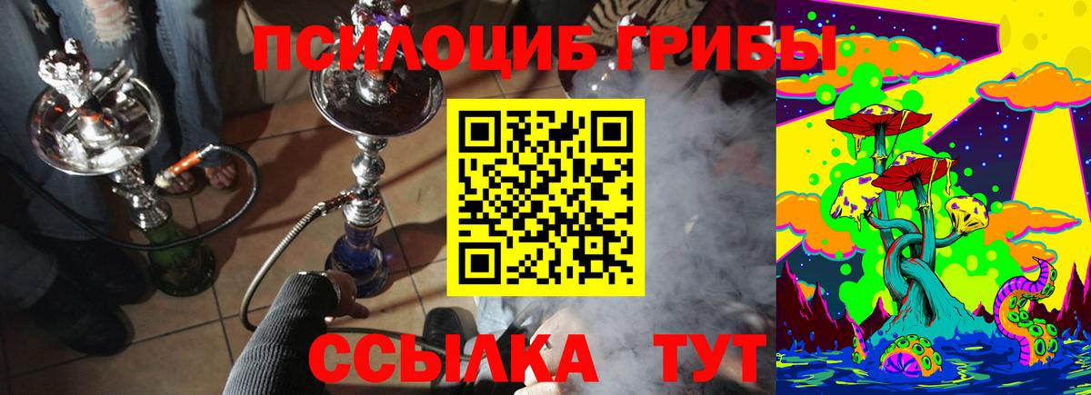 Галлюциногенные грибы мухоморы Новочебоксарск